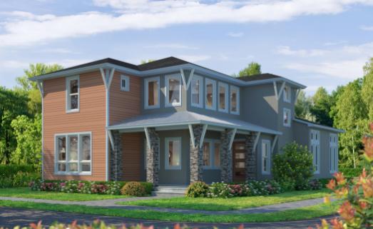 The Transitional - LP