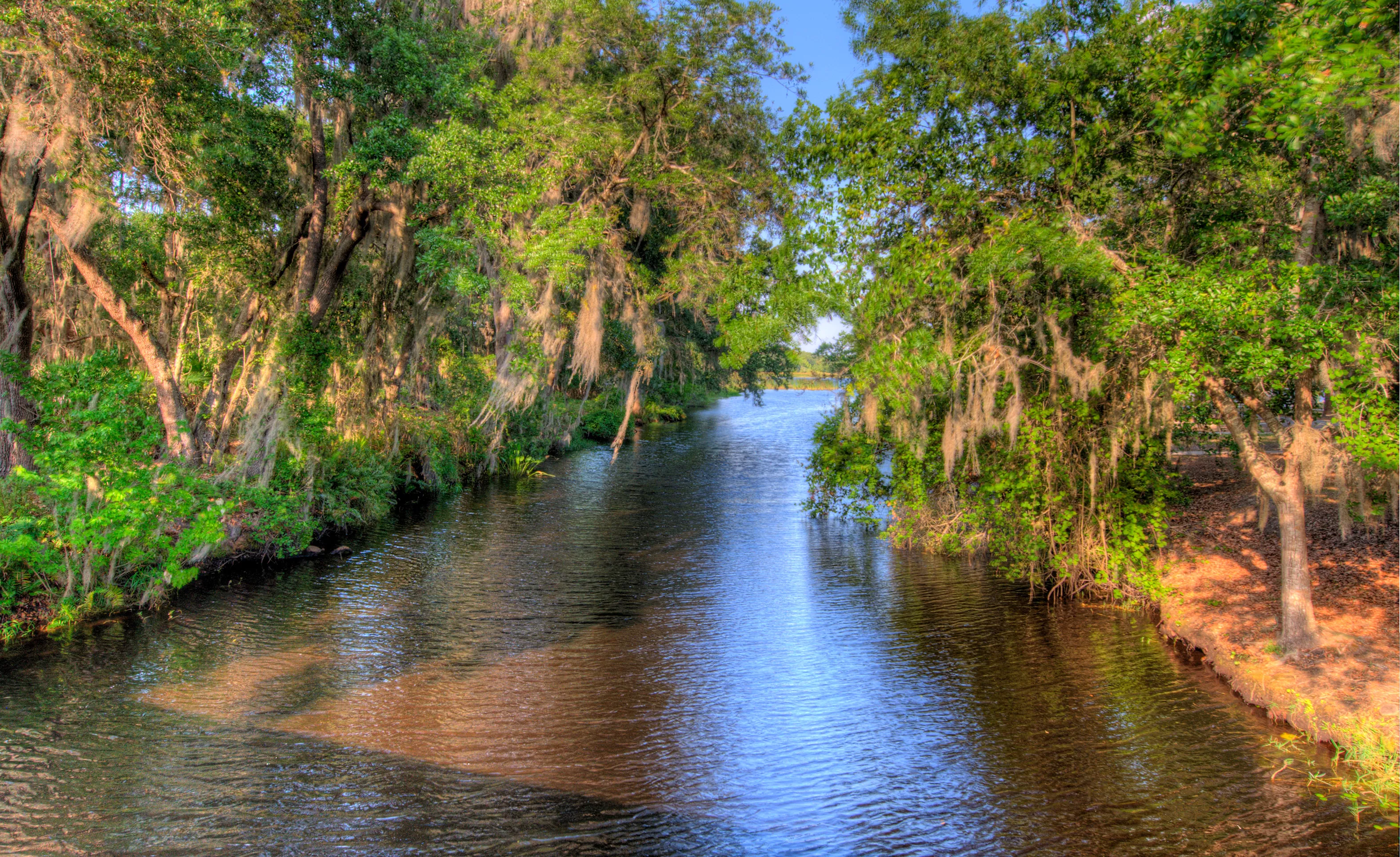 Moss Park Close to Live Oak Estates