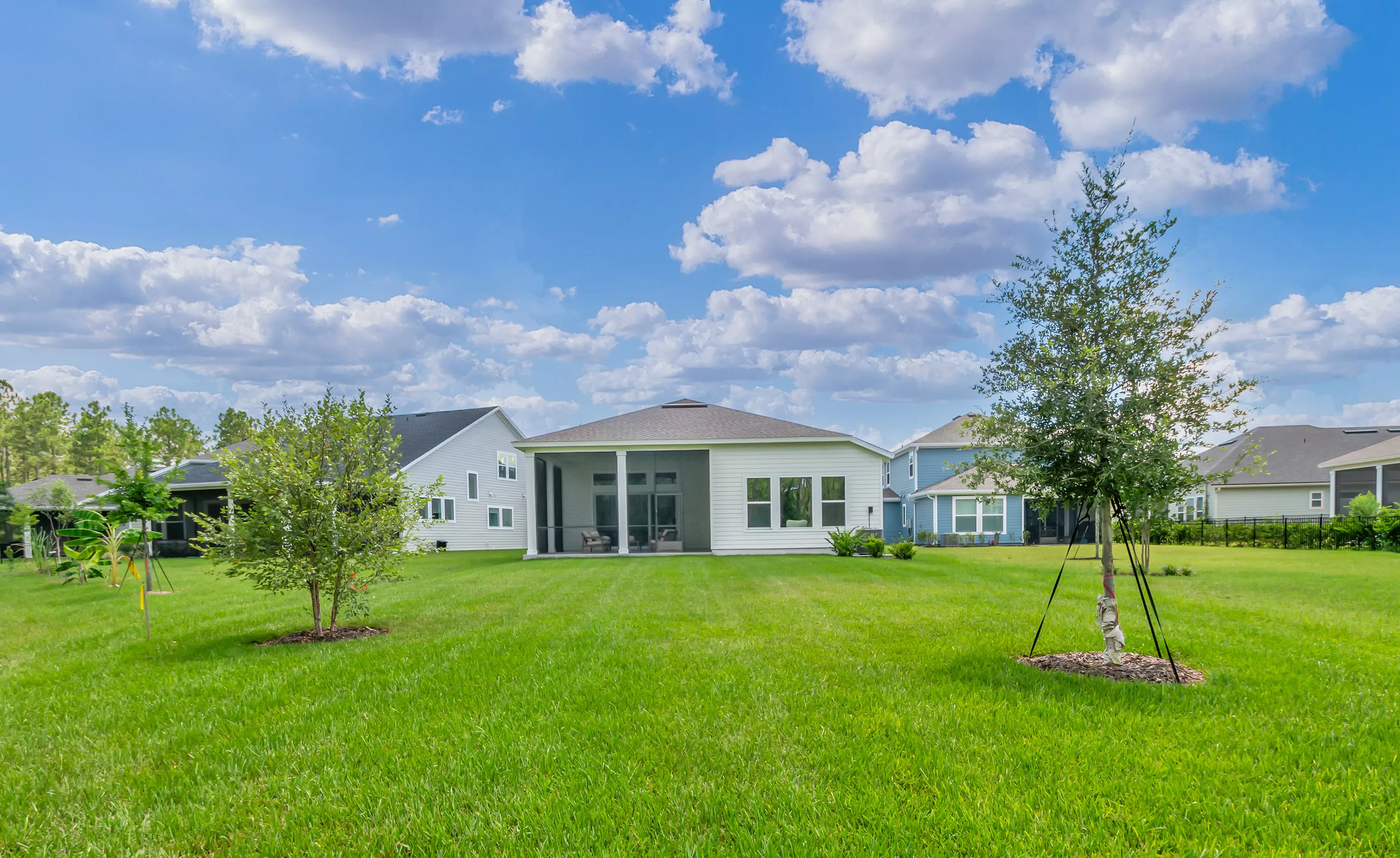 Aiden - Back Exterior