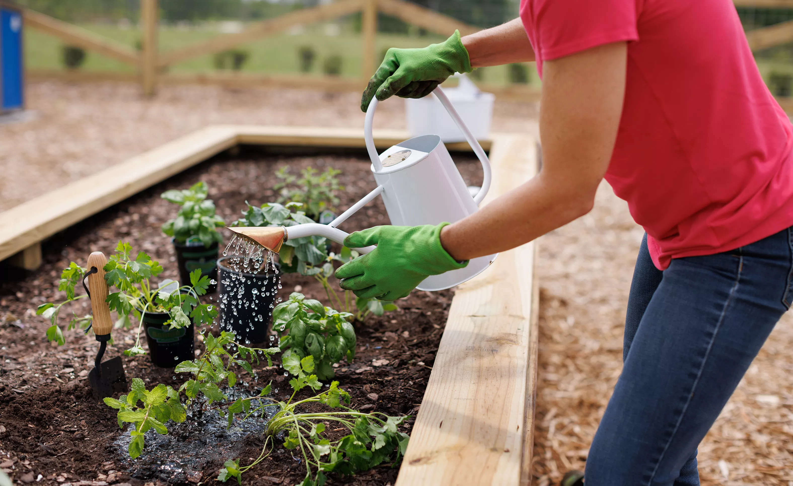Weslyn Park - Community Garden