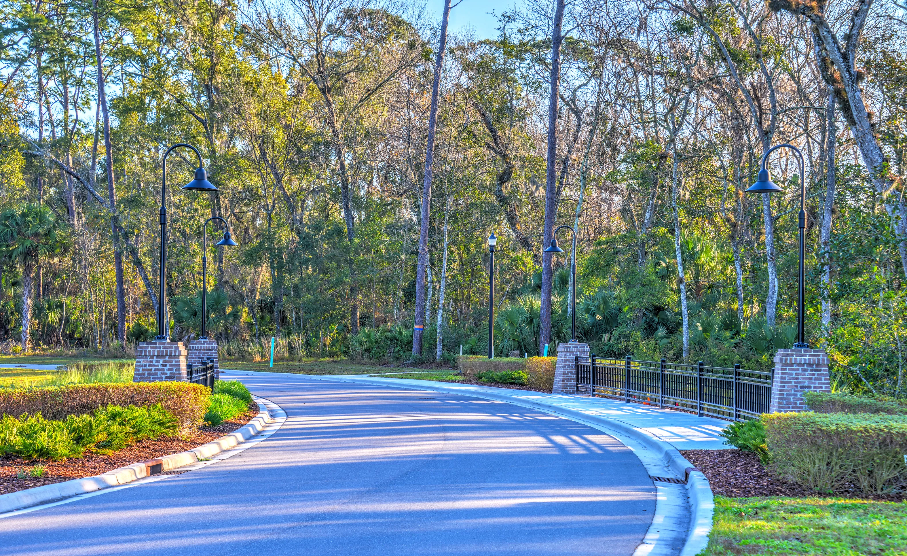 The Estates at Brown's Landing - Streetscape