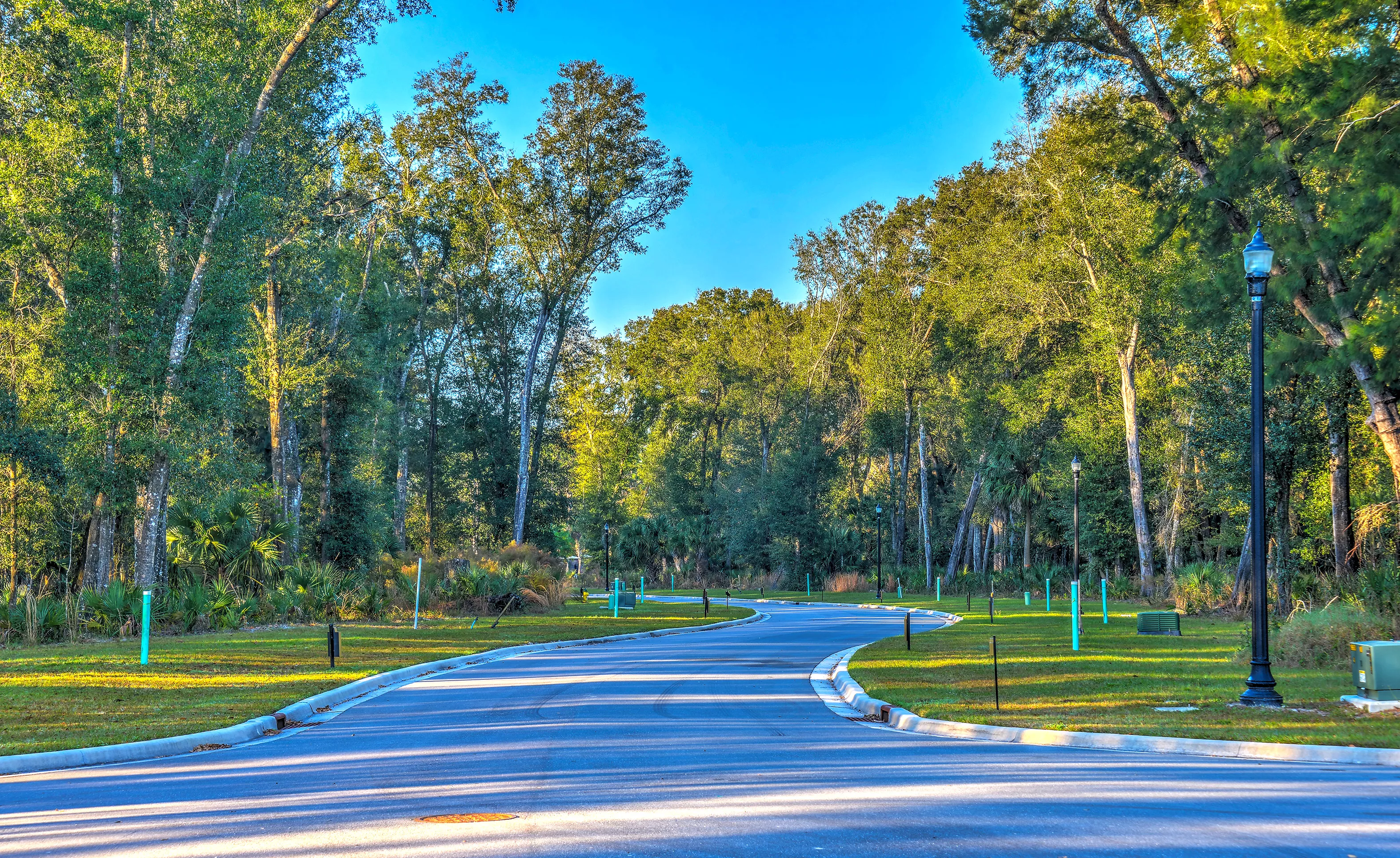 The Estates at Brown's Landing - Streetscape