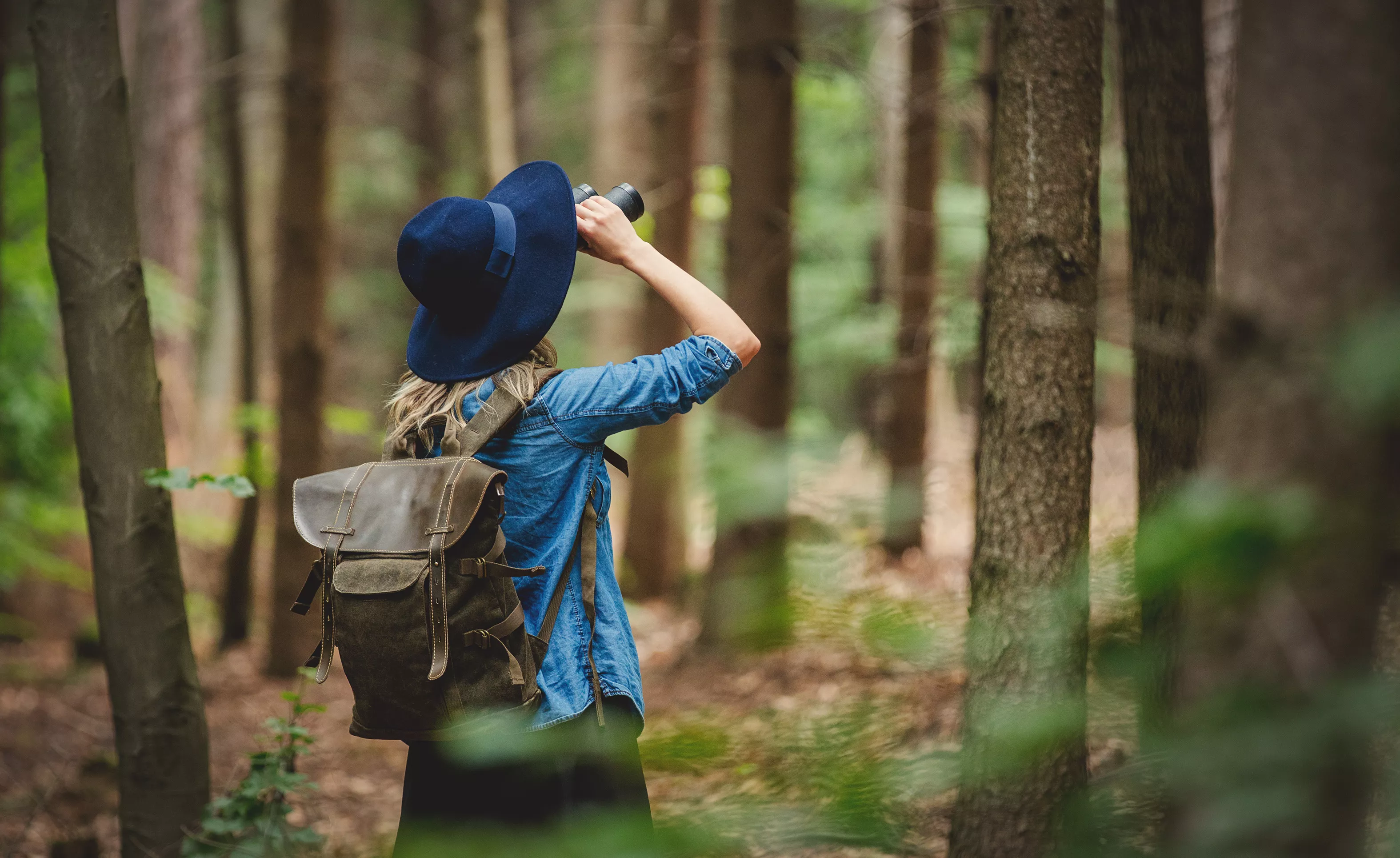 The Estates at Brown's Landing