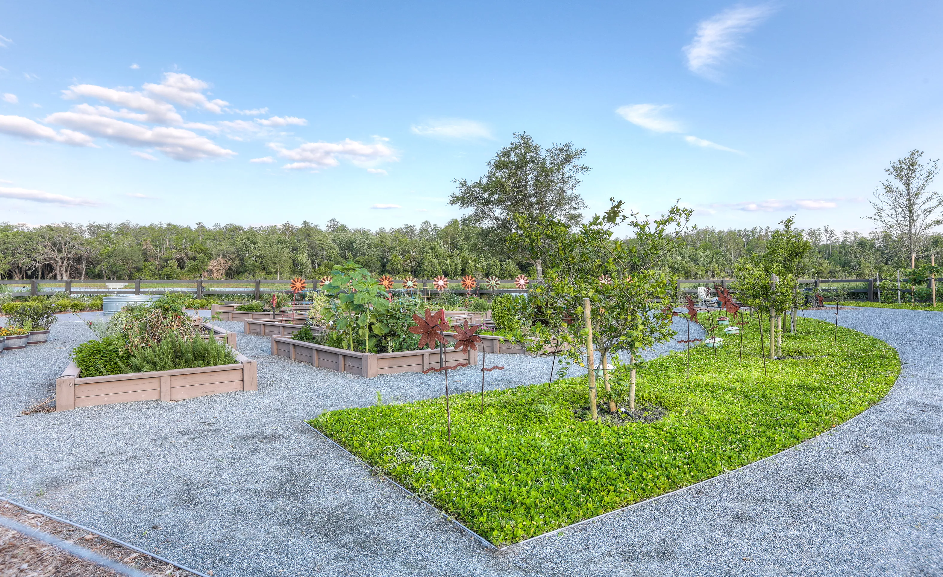 Laureate Park - Community Garden