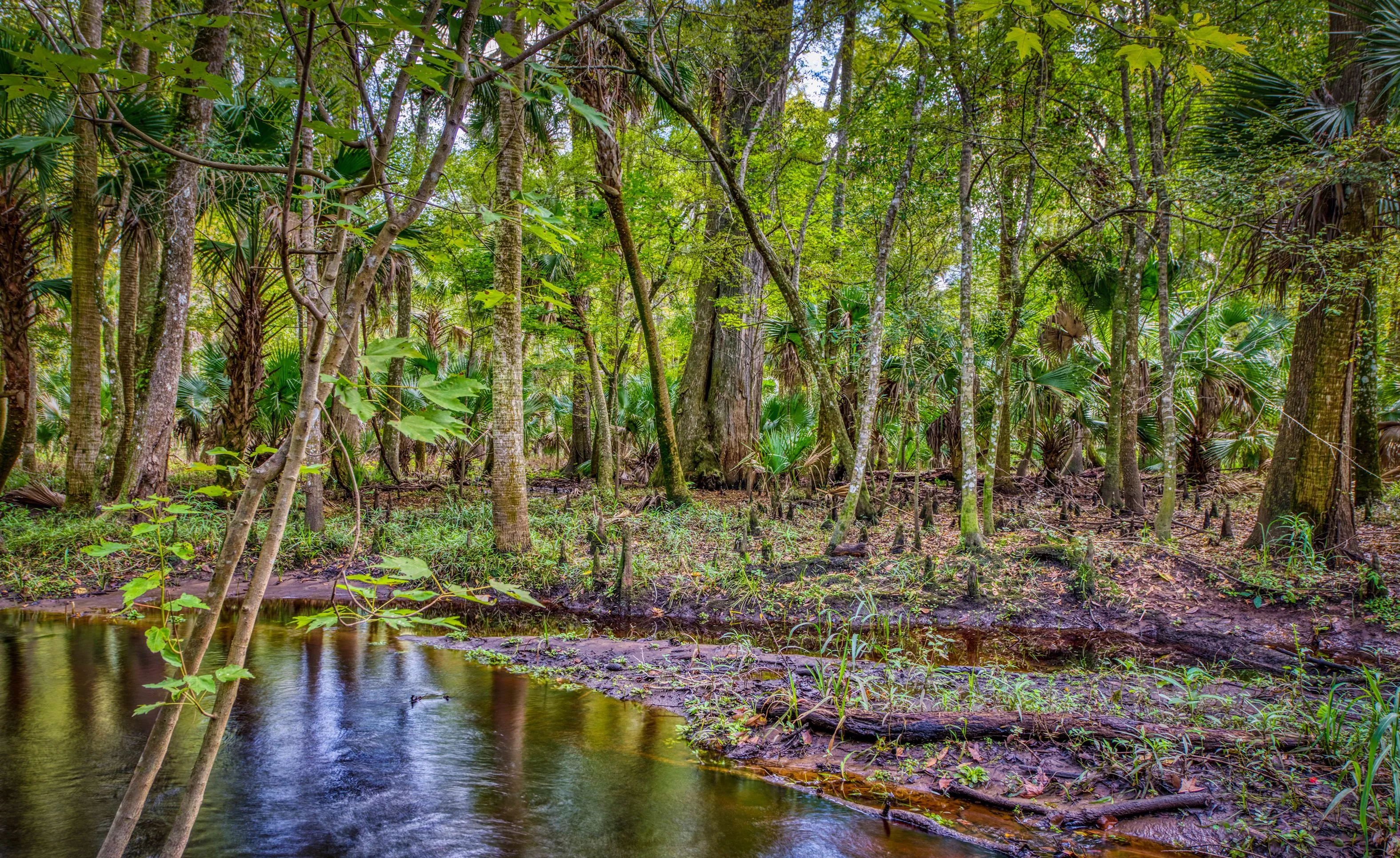 Brown's Landing Creekside