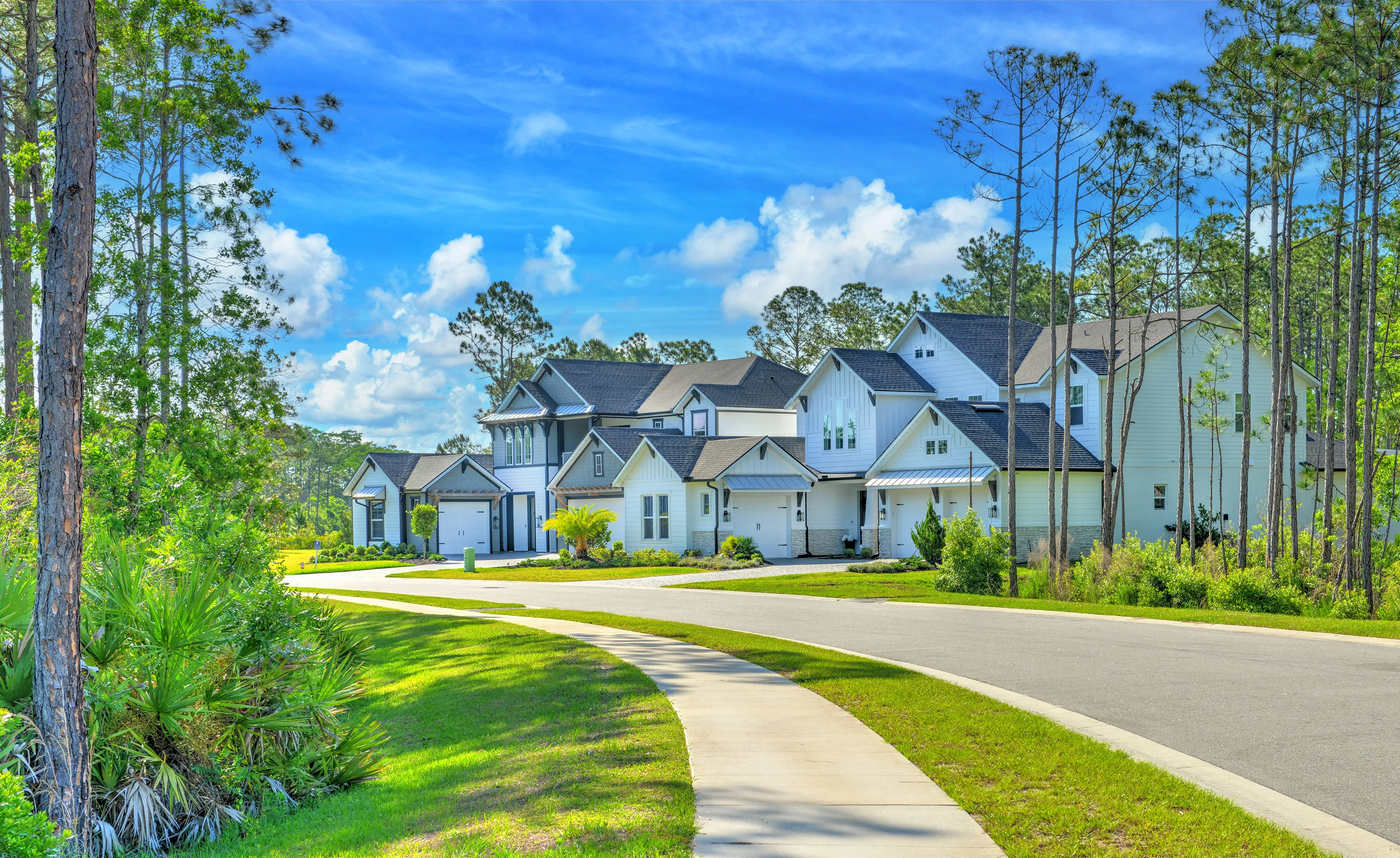 Street view of Woodhaven community featuring modern two-story homes with white siding, dark roofs, and landscaped lawns.