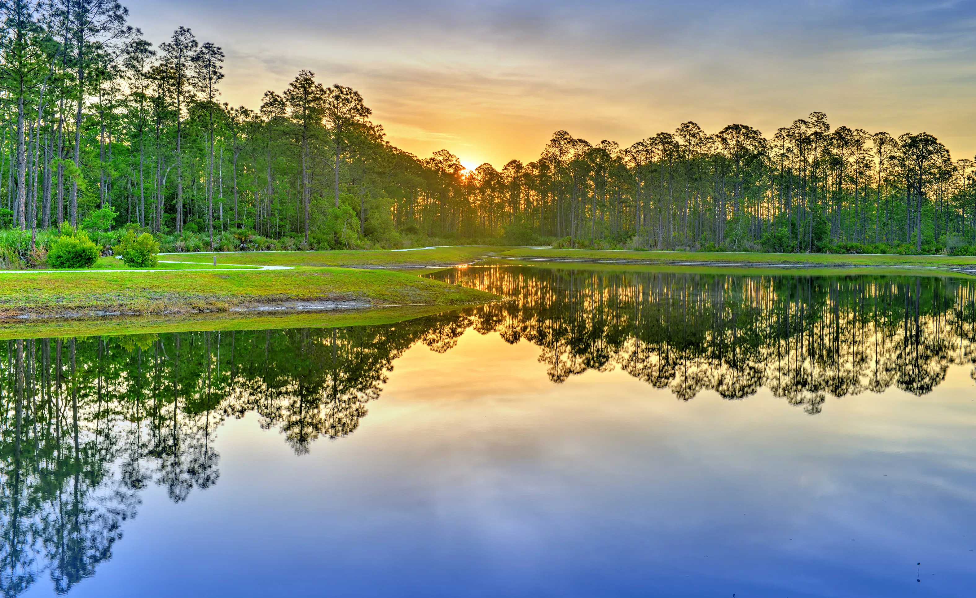 Sunset view of a reflective pond at Woodhaven community, surrounded by a grassy bank and a forest of pine trees.