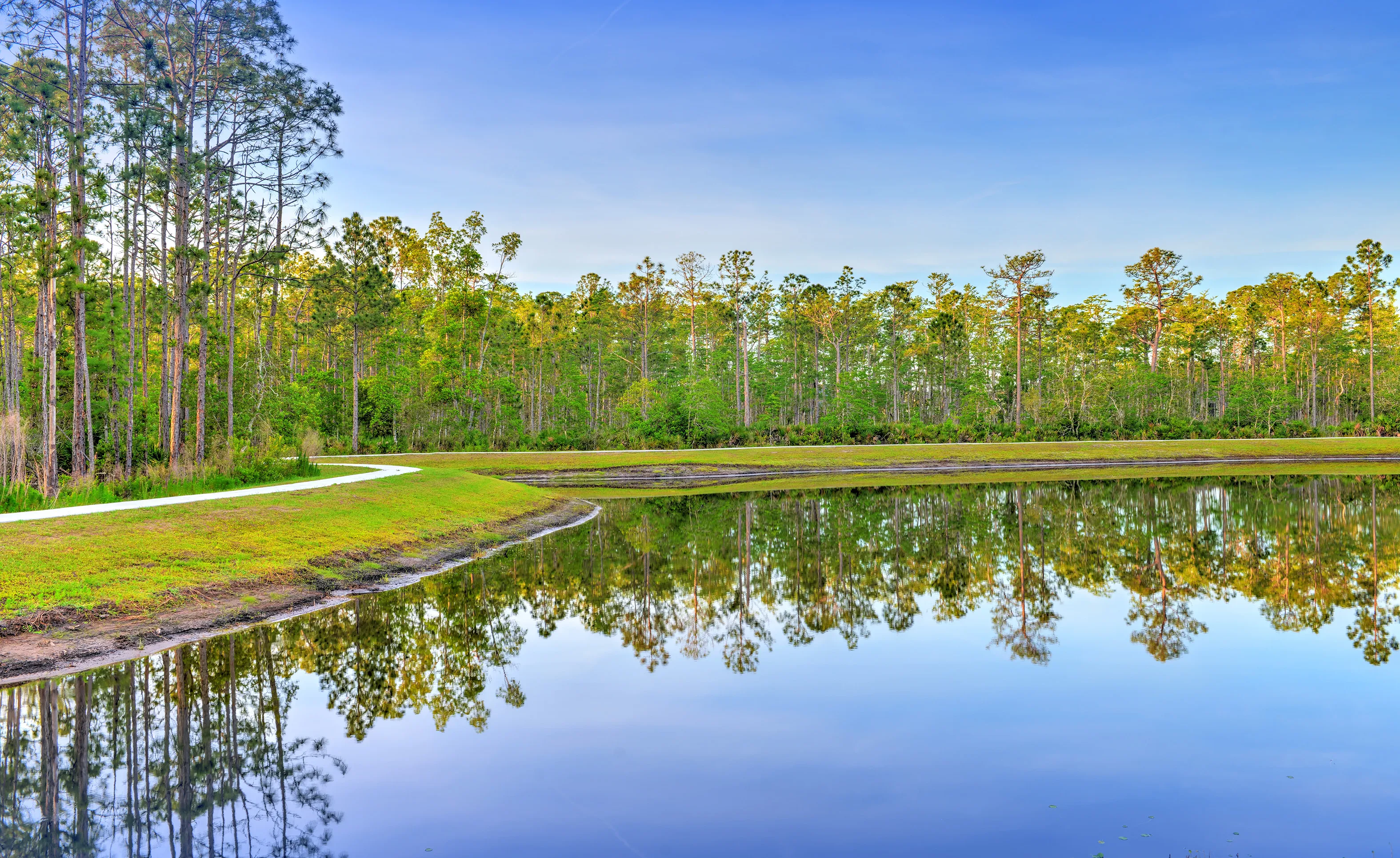 Woodhaven community pond with a paved walking path along the grassy shoreline under a blue sky.