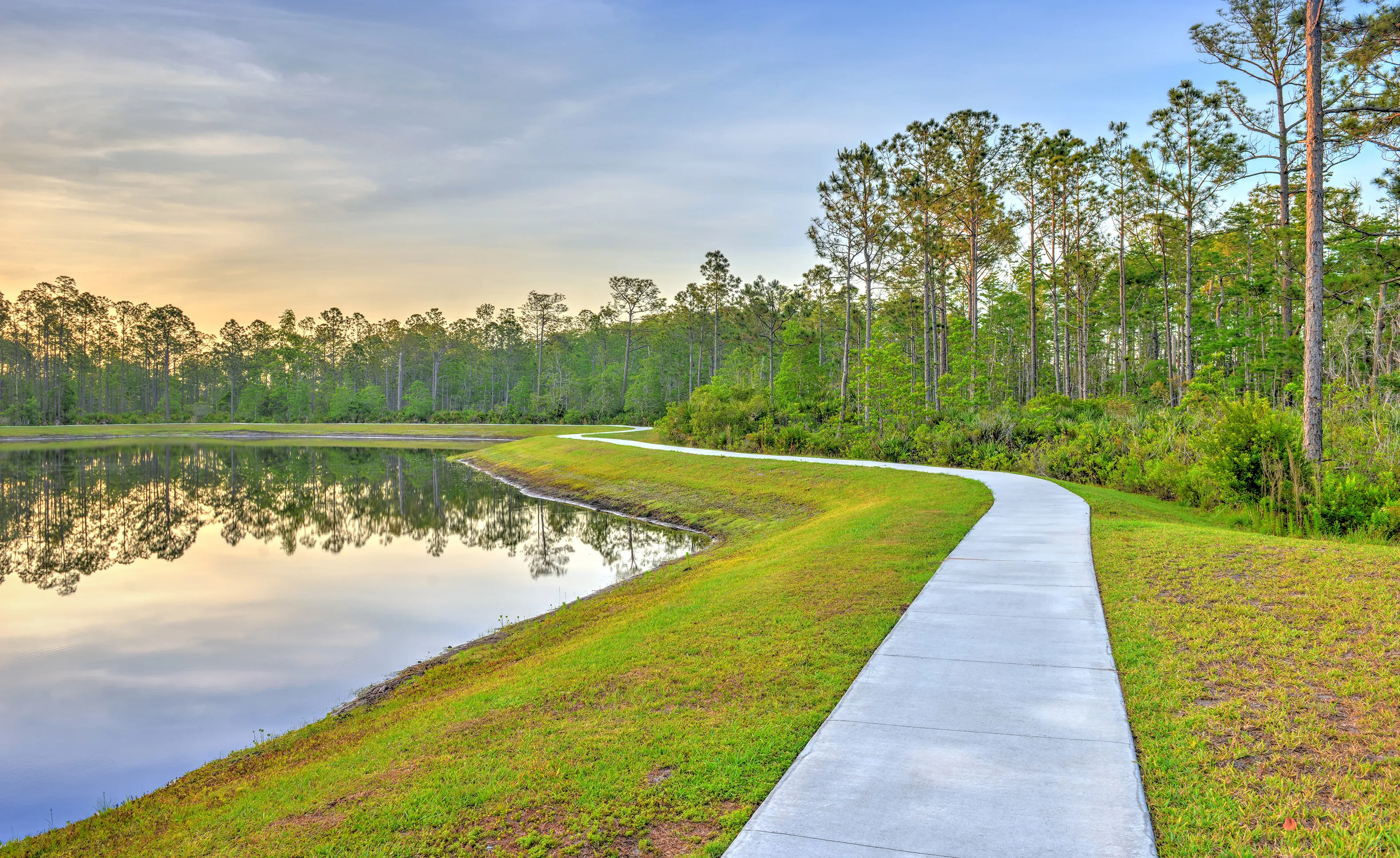 Winding concrete path along a calm lake in Woodhaven community with pine trees and green grass at sunset.