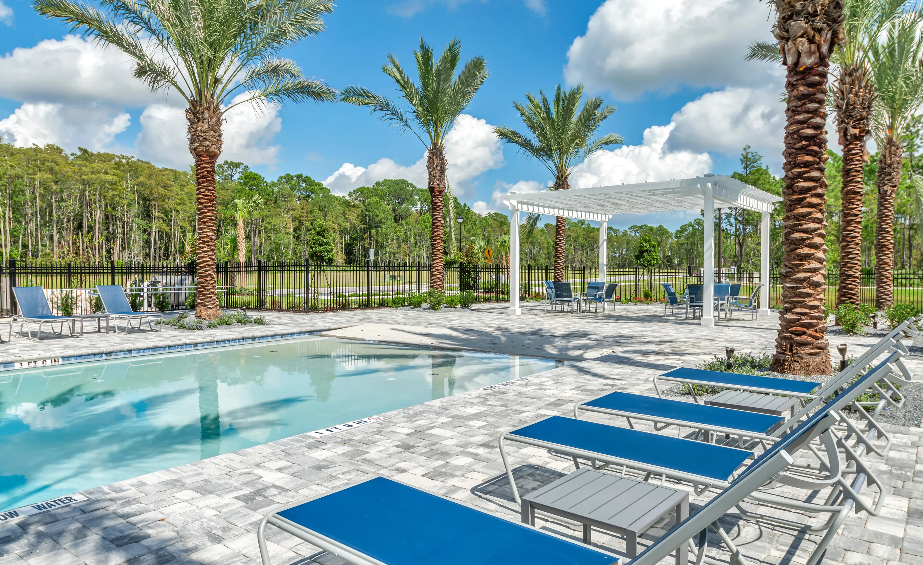 Swimming pool with lounge chairs on a paver deck, palm trees, and a white pergola at Woodhaven community.