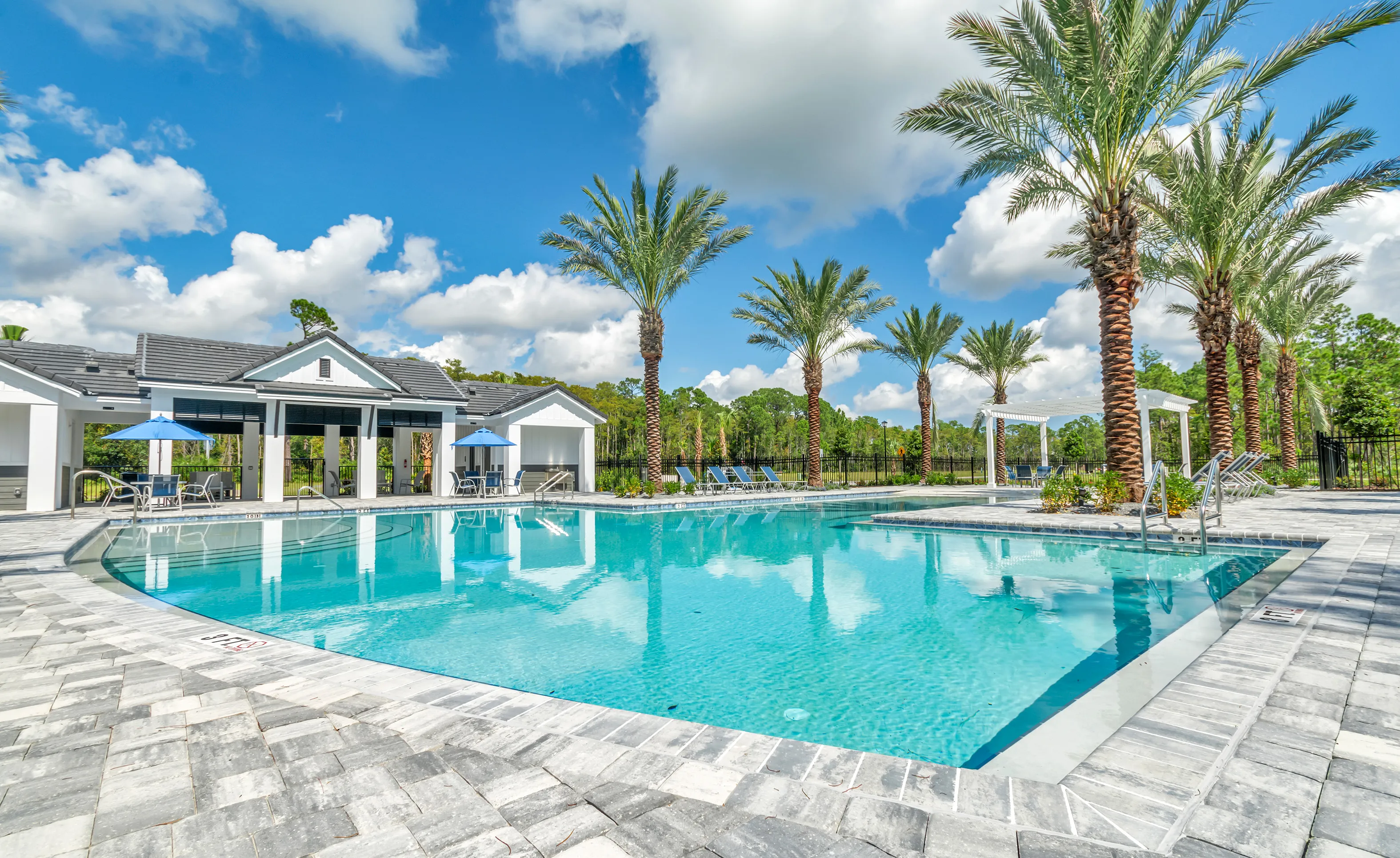 Swimming pool at the Woodhaven community with palm trees, a covered patio, and paved decking under a blue sky.