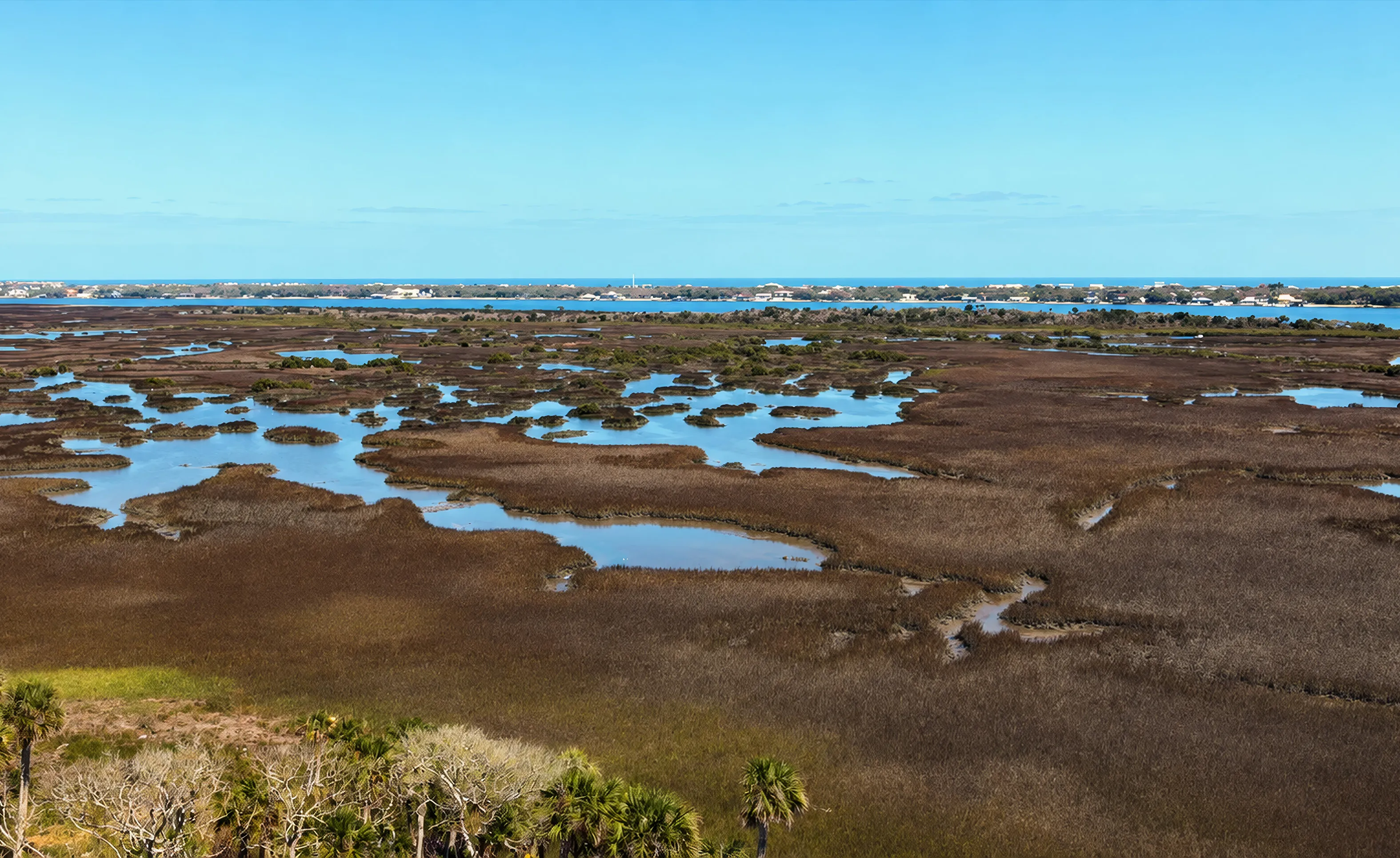 Aerial view of coastal wetlands at Madeira at St. Augustine with winding tidal creeks, marsh grass, and a distant shoreline.