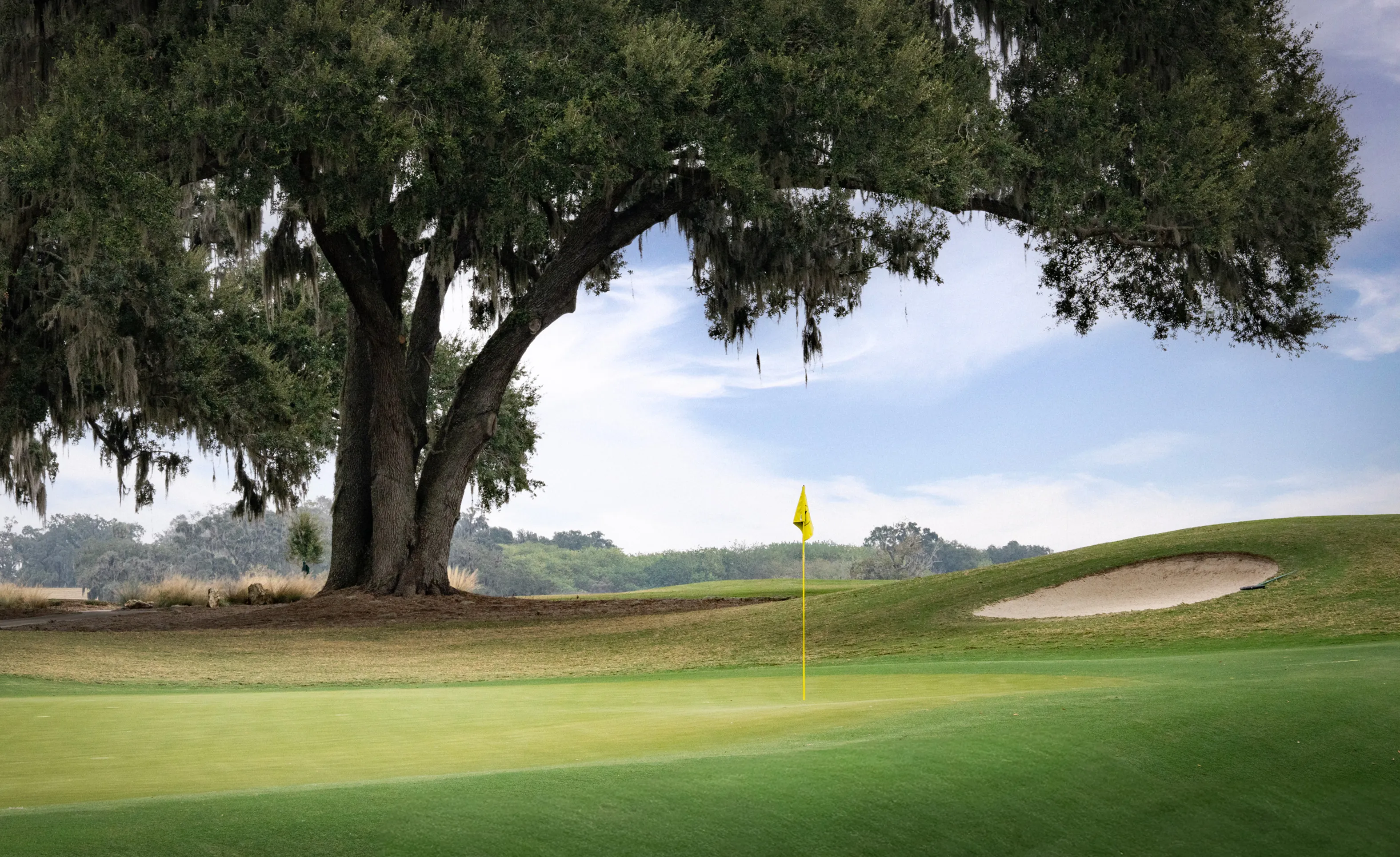 Golf green with yellow flag, sand bunker, and large Spanish moss-draped oak tree at the IronCrest community.
