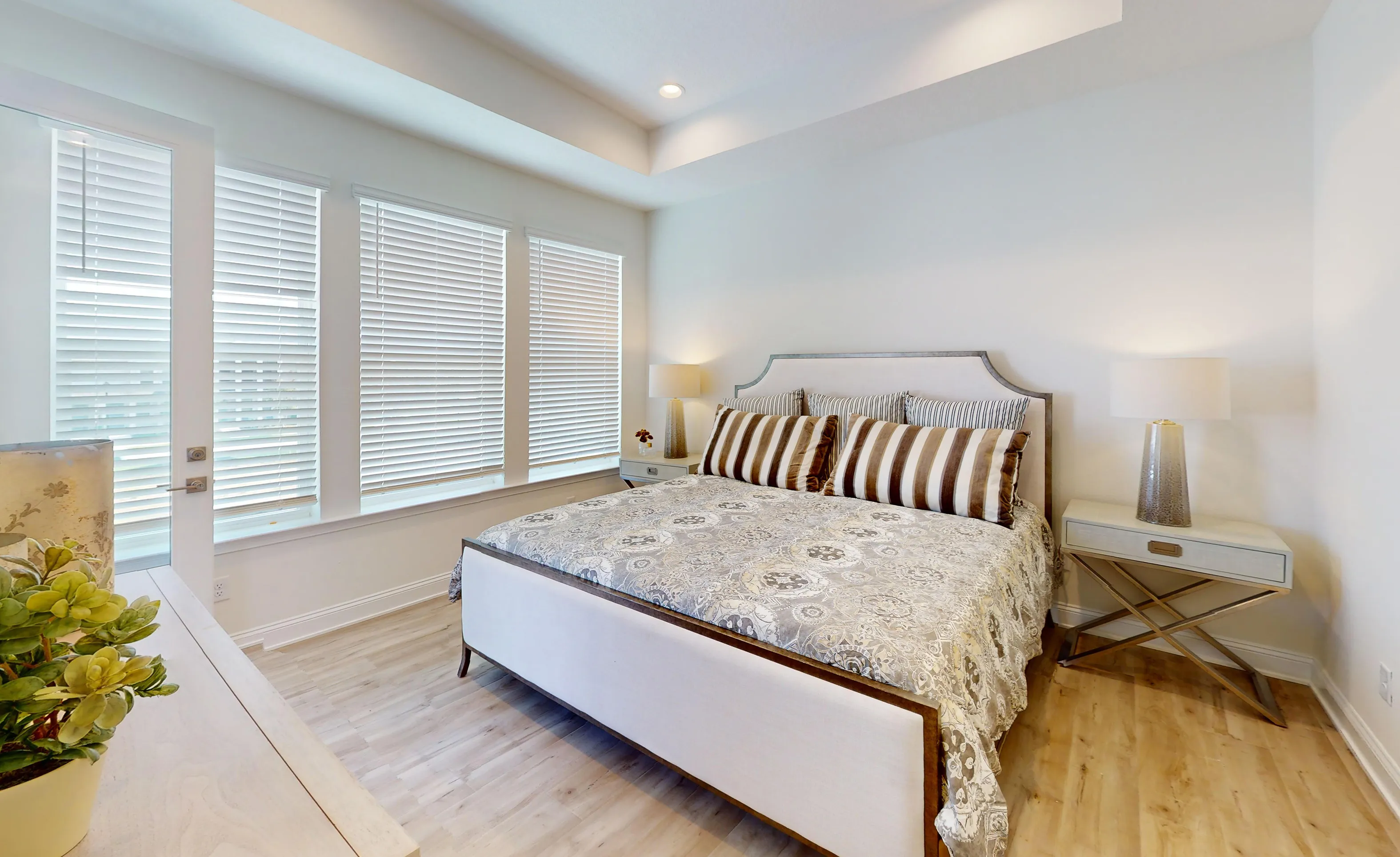 Primary bedroom with a tray ceiling, light wood-look flooring, large windows with blinds, and a patterned bedspread.