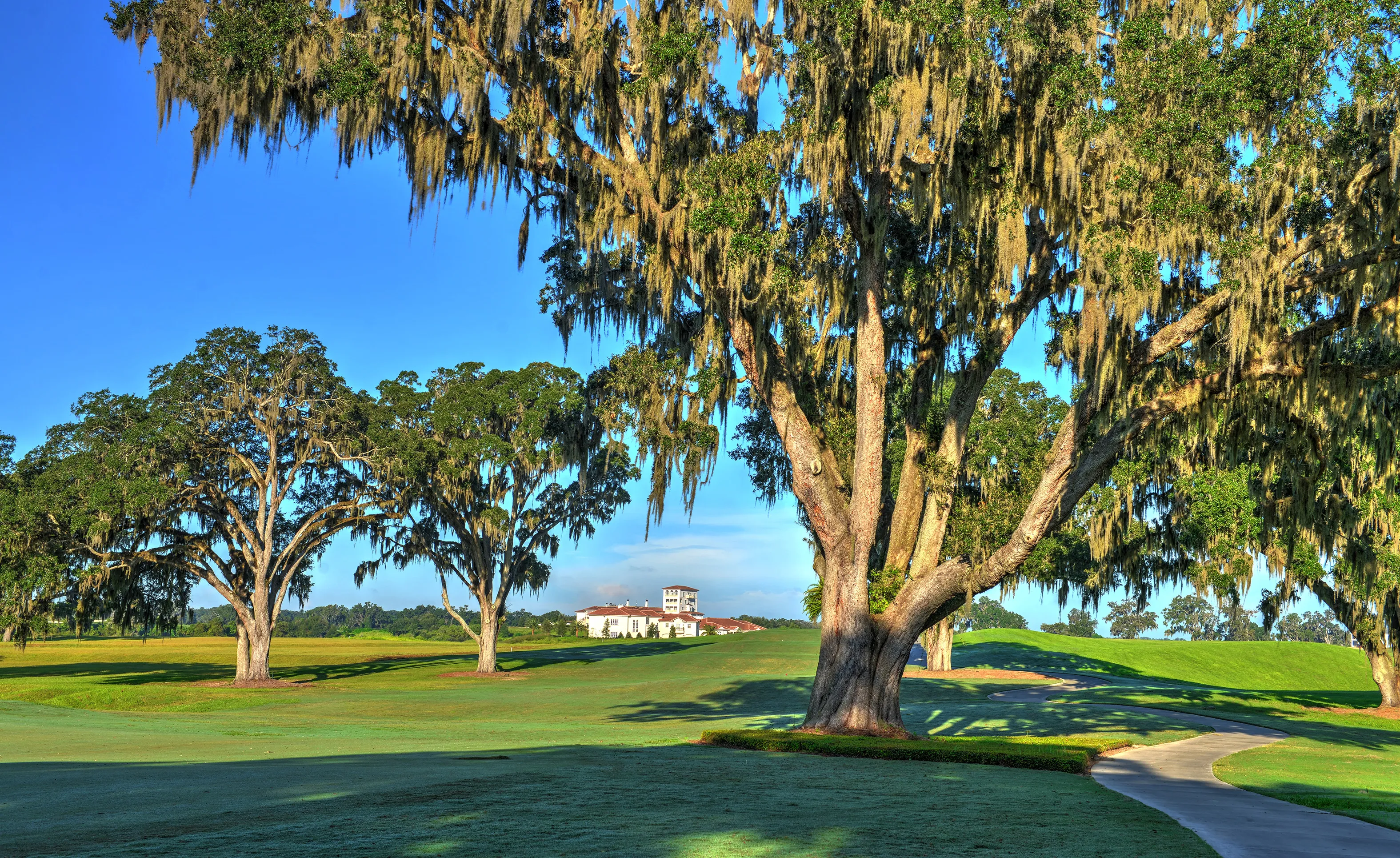 Large oak trees with hanging moss over a golf course fairway with a distant building in the IronCrest community.
