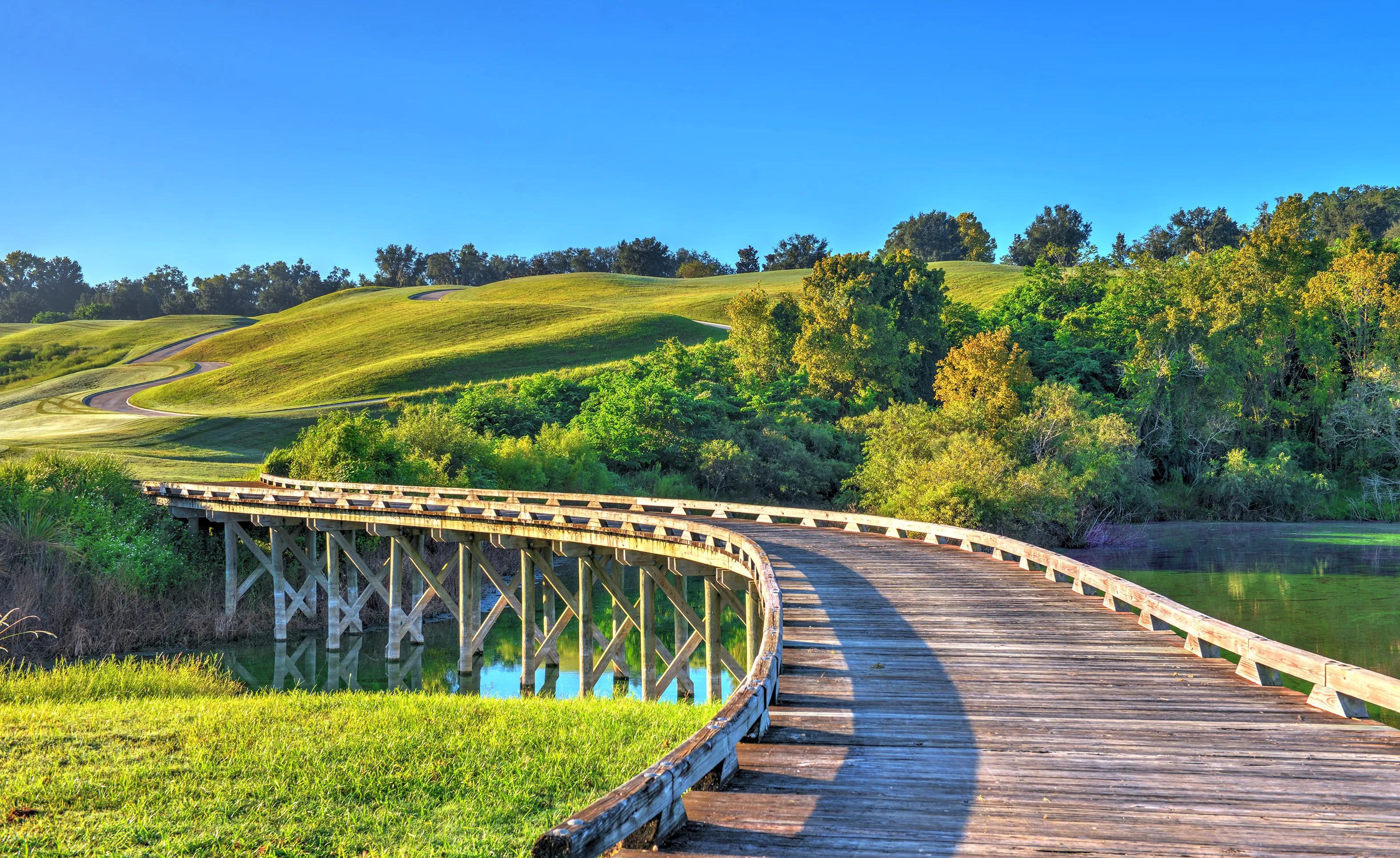 Curved wooden footbridge spanning a calm pond at IronCrest, leading to rolling green hills under a clear blue sky.