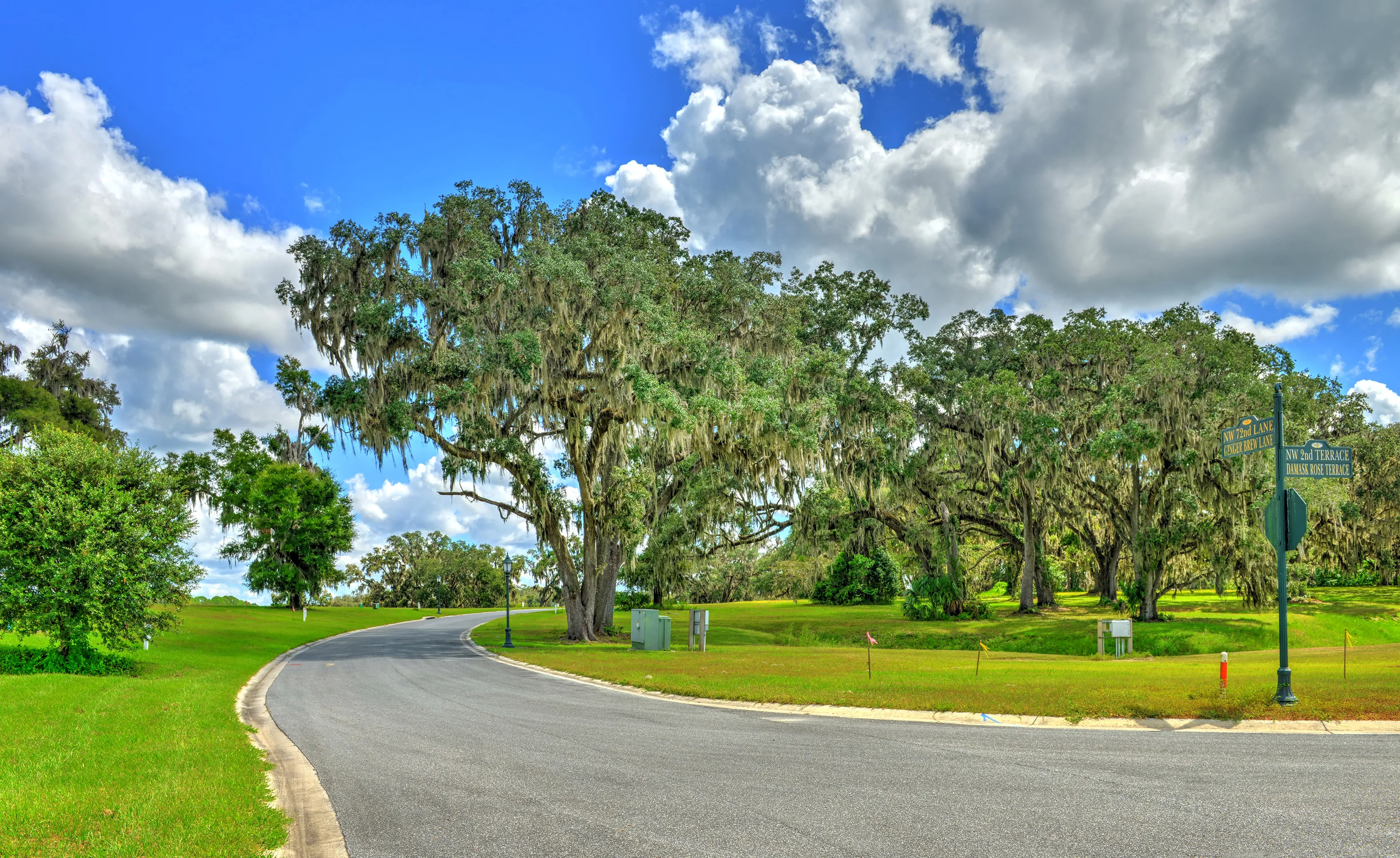 Curving asphalt road in IronCrest community lined with large oak trees draped in Spanish moss under a blue cloudy sky.