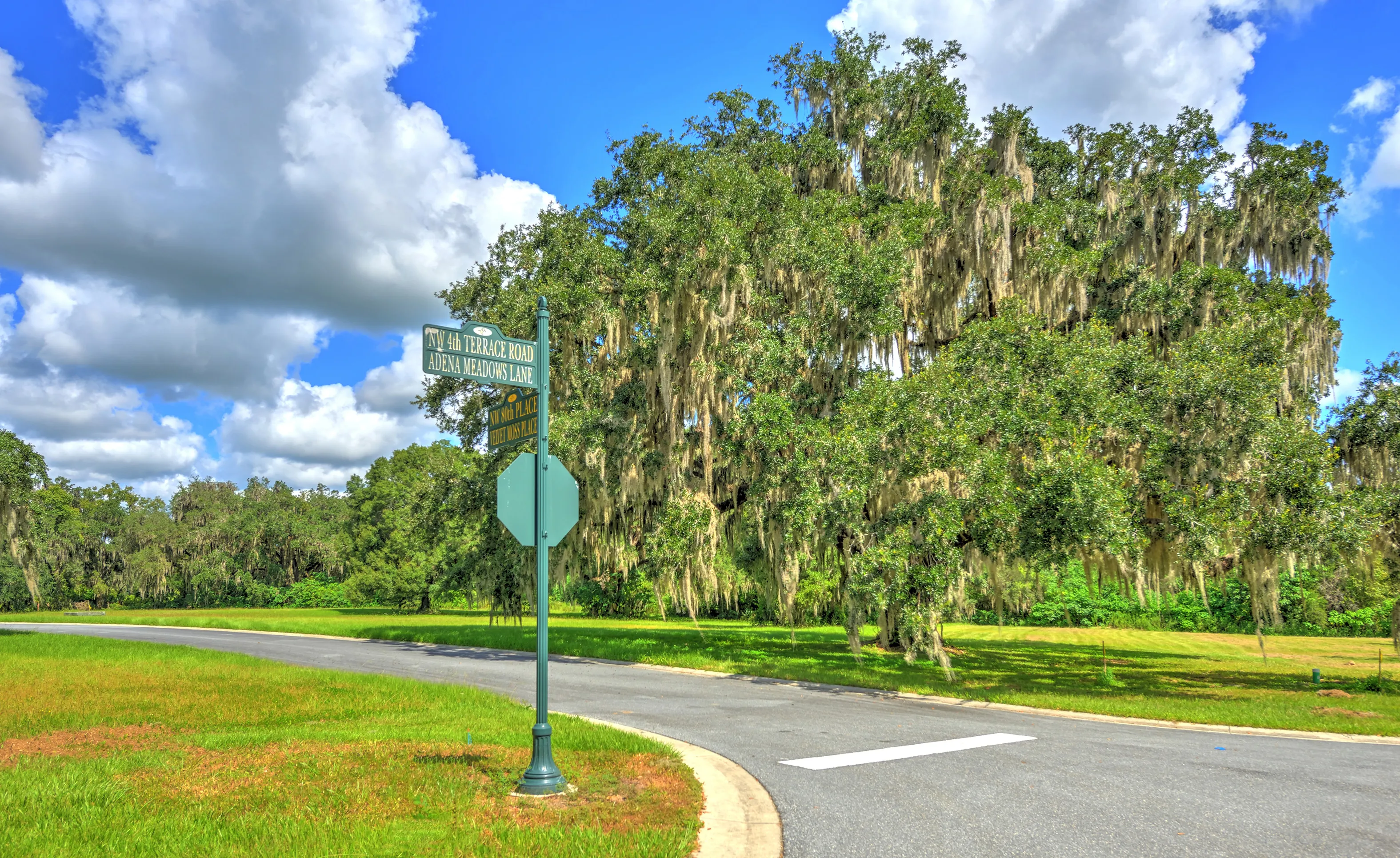 Street sign at the corner of NW 4th Terrace Road and Adena Meadows Lane, featuring a large oak tree with Spanish moss.