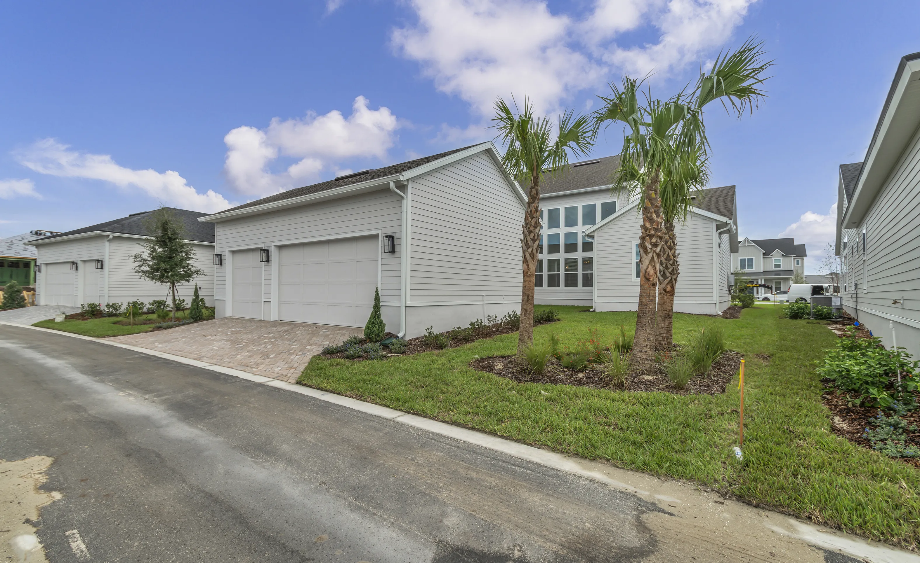 Side exterior of the Braddock home in Seven Pines featuring light siding, a paver driveway, and two palm trees.