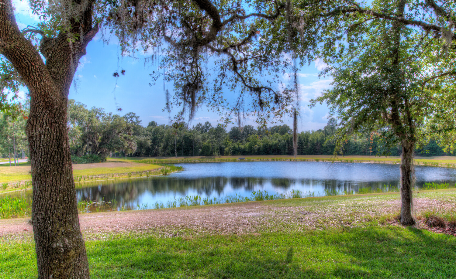 New Homes in Live Oak Estates Orlando ICI Homes