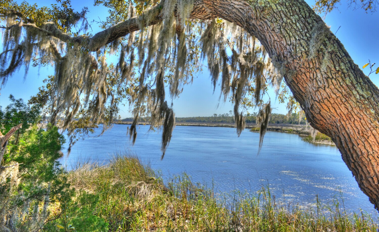 New Homes in Tidewater Jacksonville ICI Homes